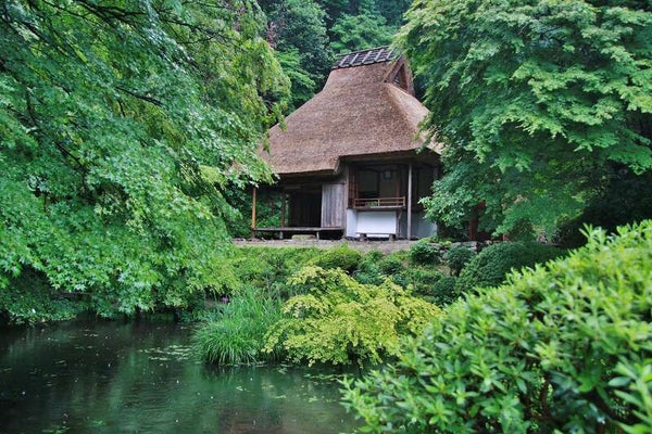 【岡山・倉敷発】 読売貸切・新緑の「吉水園」特別公開と温井ダム放流 日帰り1